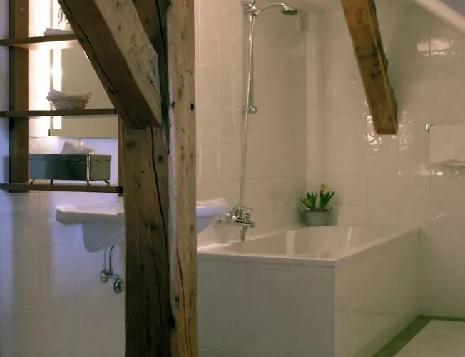 Hotel Solitude 4*